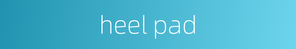 heel pad的同义词