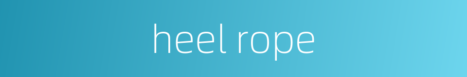 heel rope的同义词