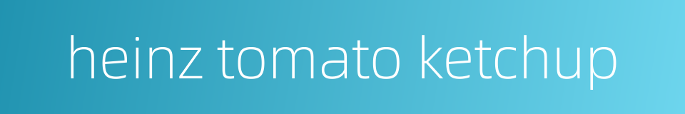 heinz tomato ketchup的同义词