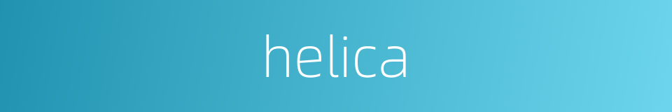 helica的同义词