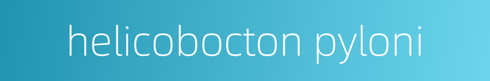 helicobocton pyloni的同义词