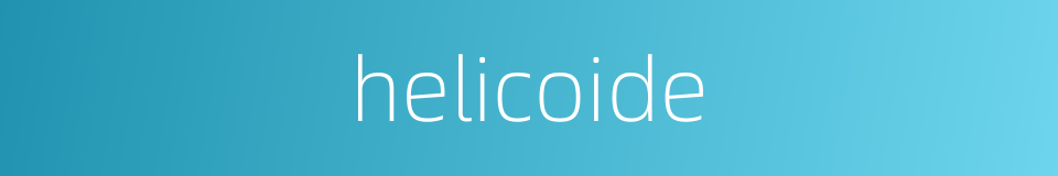 helicoide的同义词