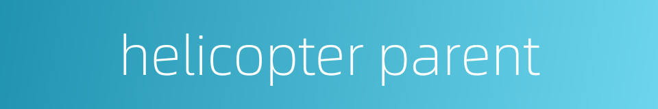 helicopter parent的同义词