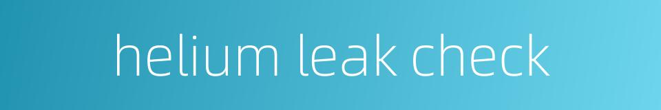 helium leak check的同义词