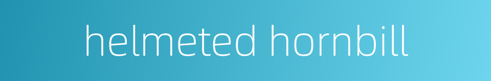 helmeted hornbill的同义词