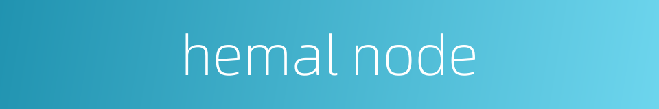 hemal node的同义词