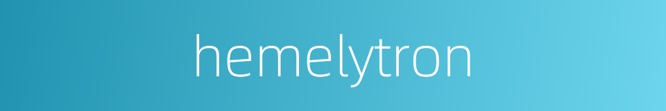 hemelytron的同义词