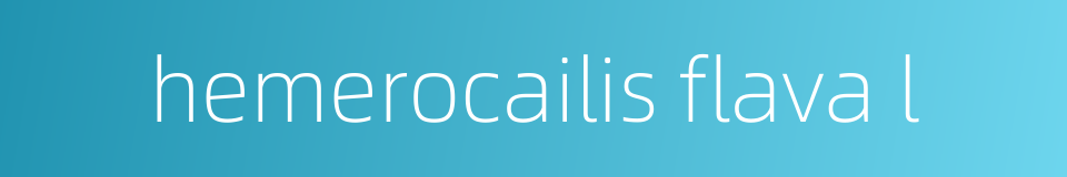hemerocailis flava l的同义词