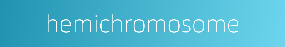 hemichromosome的同义词