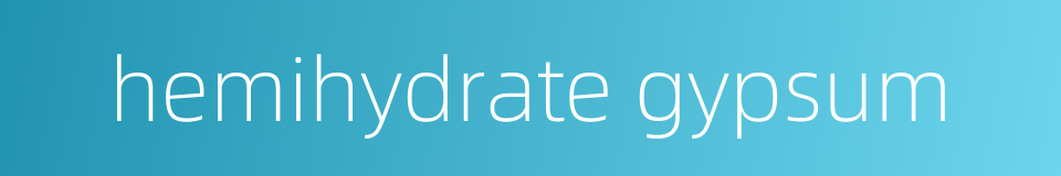 hemihydrate gypsum的同义词