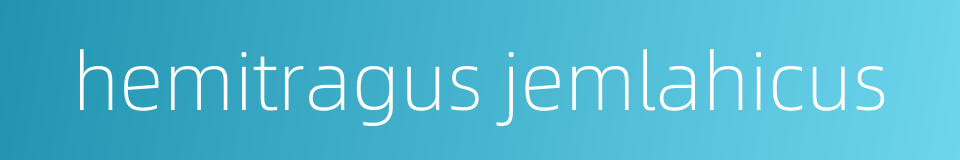 hemitragus jemlahicus的同义词