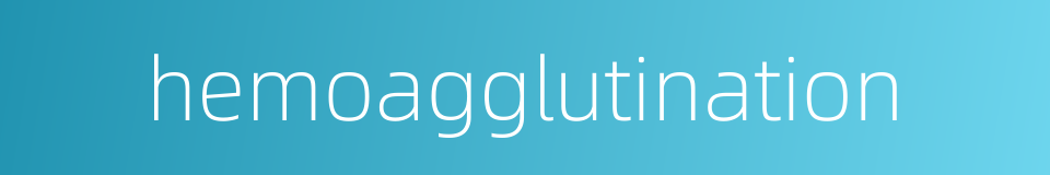 hemoagglutination的同义词