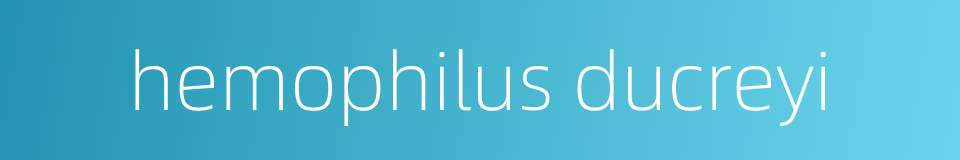 hemophilus ducreyi的同义词