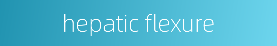 hepatic flexure的同义词