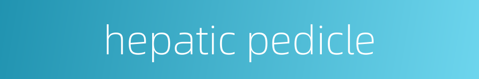 hepatic pedicle的同义词