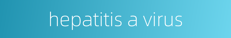 hepatitis a virus的同义词