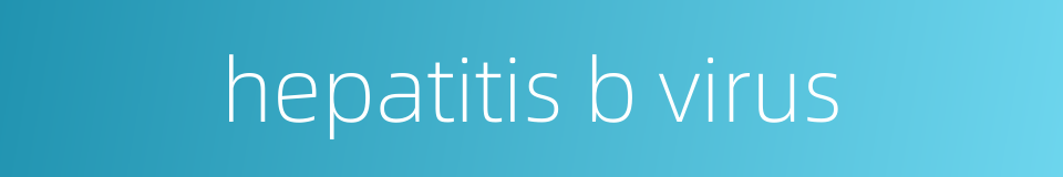 hepatitis b virus的同义词