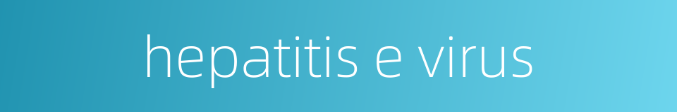 hepatitis e virus的同义词