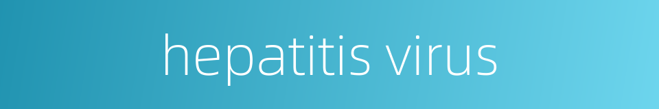 hepatitis virus的同义词