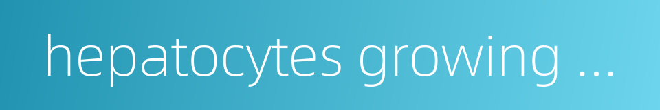 hepatocytes growing on glass coverslips的同义词