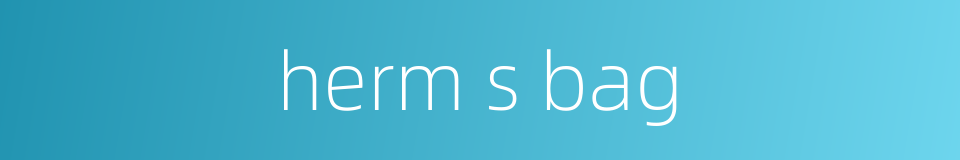 herm s bag的同义词