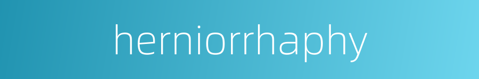 herniorrhaphy的同义词