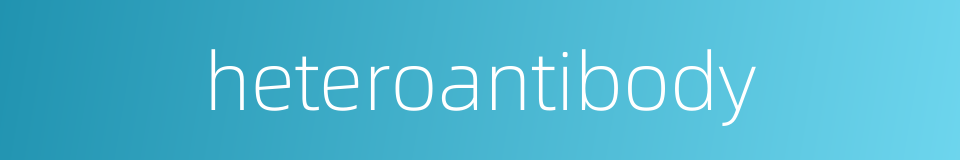 heteroantibody的同义词