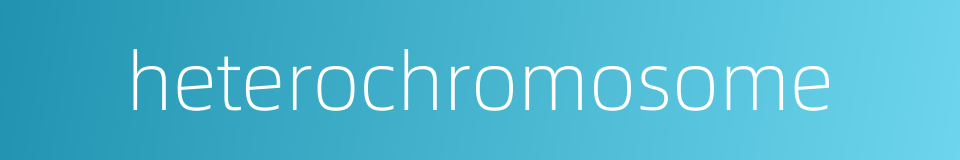 heterochromosome的同义词