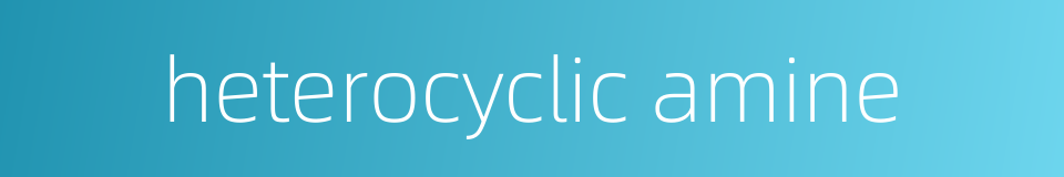 heterocyclic amine的同义词