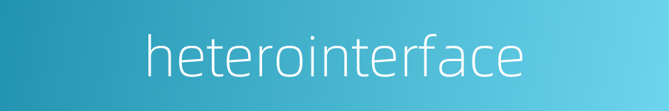 heterointerface的同义词