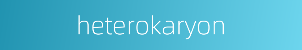 heterokaryon的同义词