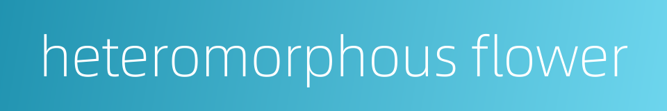 heteromorphous flower的同义词