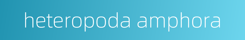heteropoda amphora的同义词