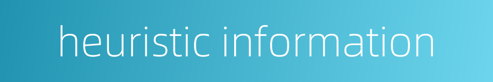 heuristic information的同义词