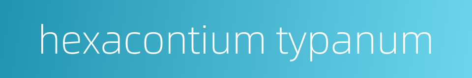 hexacontium typanum的同义词