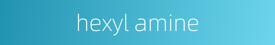hexyl amine的同义词