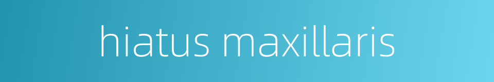 hiatus maxillaris的同义词