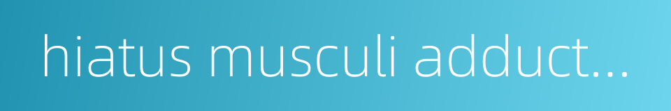 hiatus musculi adductoris magni的同义词