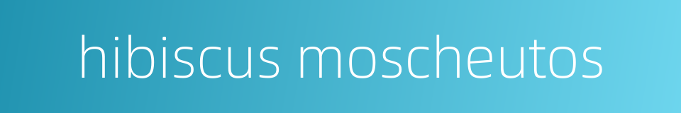 hibiscus moscheutos的同义词