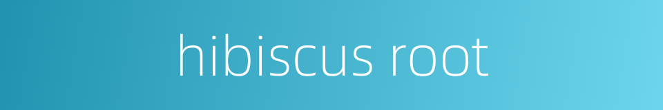 hibiscus root的同义词