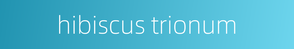hibiscus trionum的同义词
