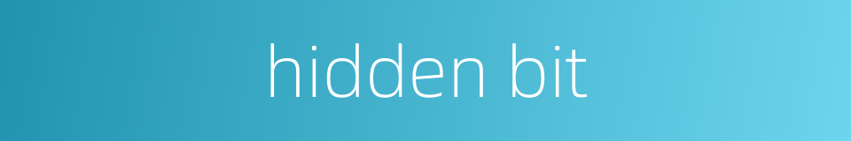 hidden bit的同义词