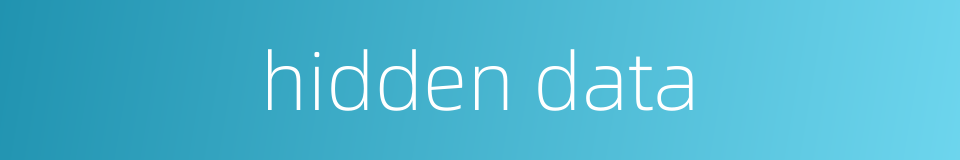hidden data的同义词