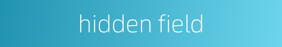 hidden field的同义词
