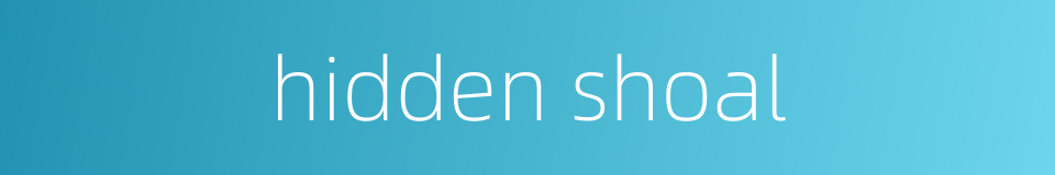 hidden shoal的同义词