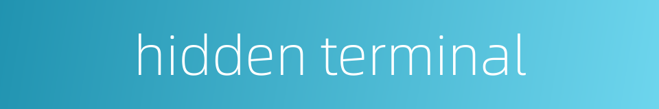 hidden terminal的同义词