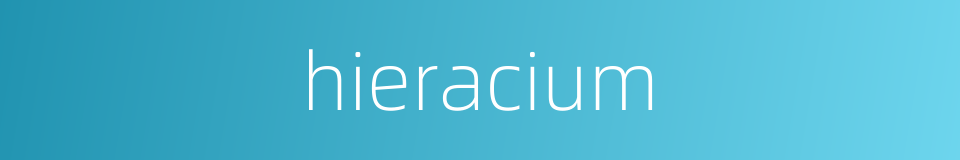 hieracium的同义词