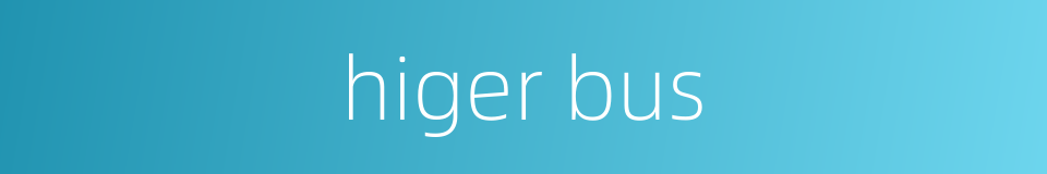 higer bus的同义词