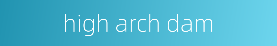 high arch dam的同义词