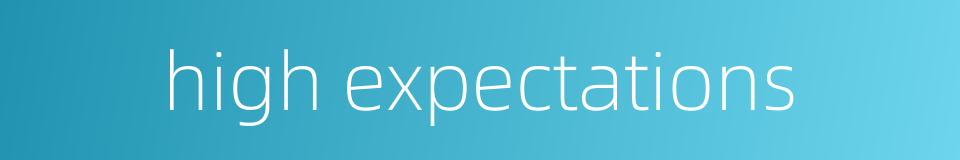 high expectations的同义词